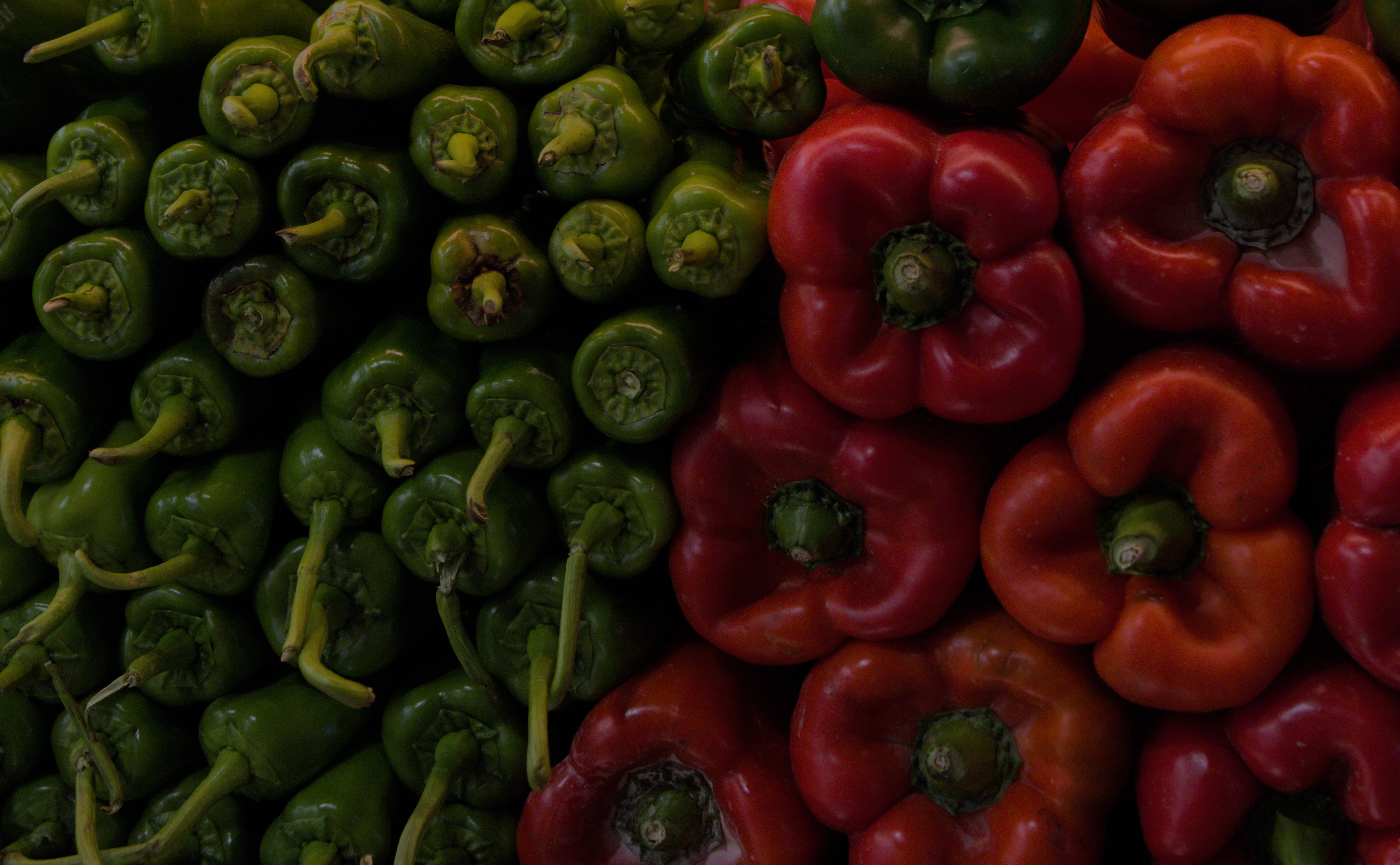 Tamron 28-300mm F3.5-6.3 (EF) - _I4A5055.webp